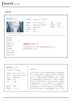 営業用　職務経歴書